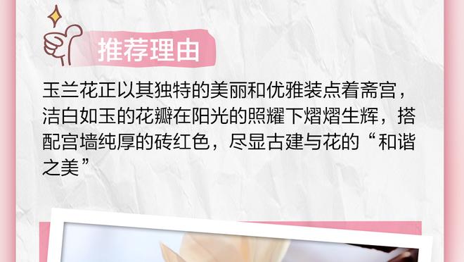 开云app官方网站入口登录网址截图3